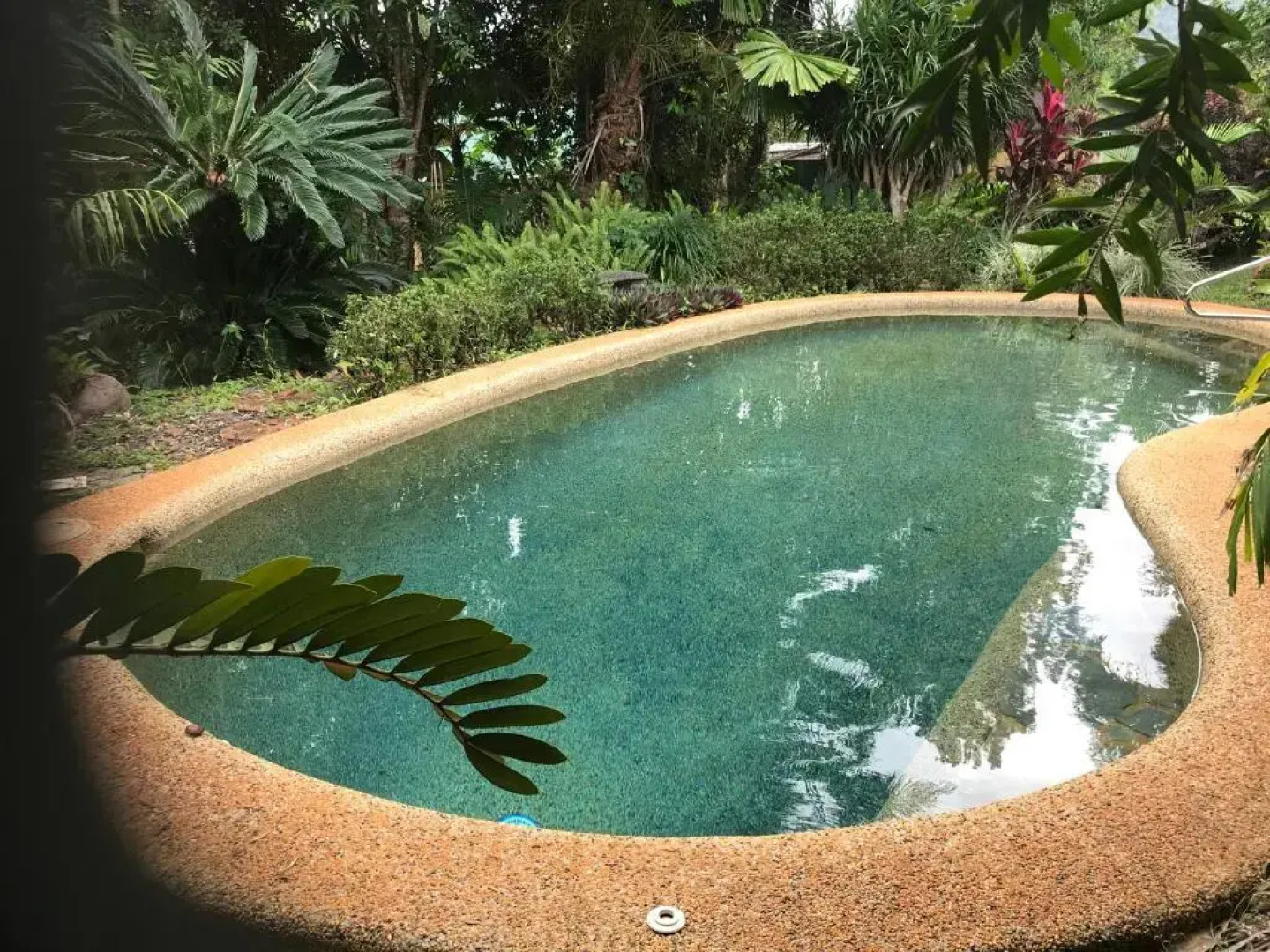 Royal Palm Cottage, Entire two bedroom 2 bathroom house with Pool