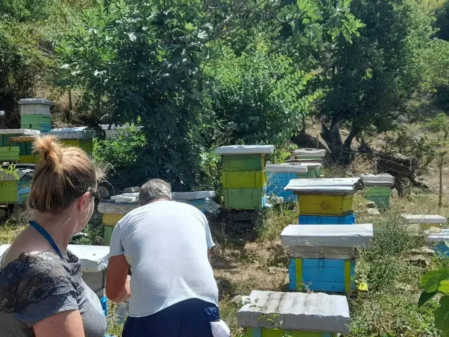 Honey-House “Kastrioti”