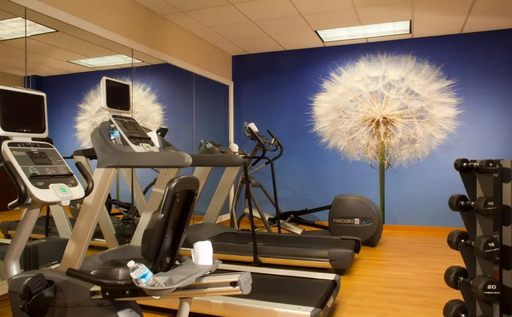 SpringHill Suites by Marriott Atlanta Buford/Mall of Georgia