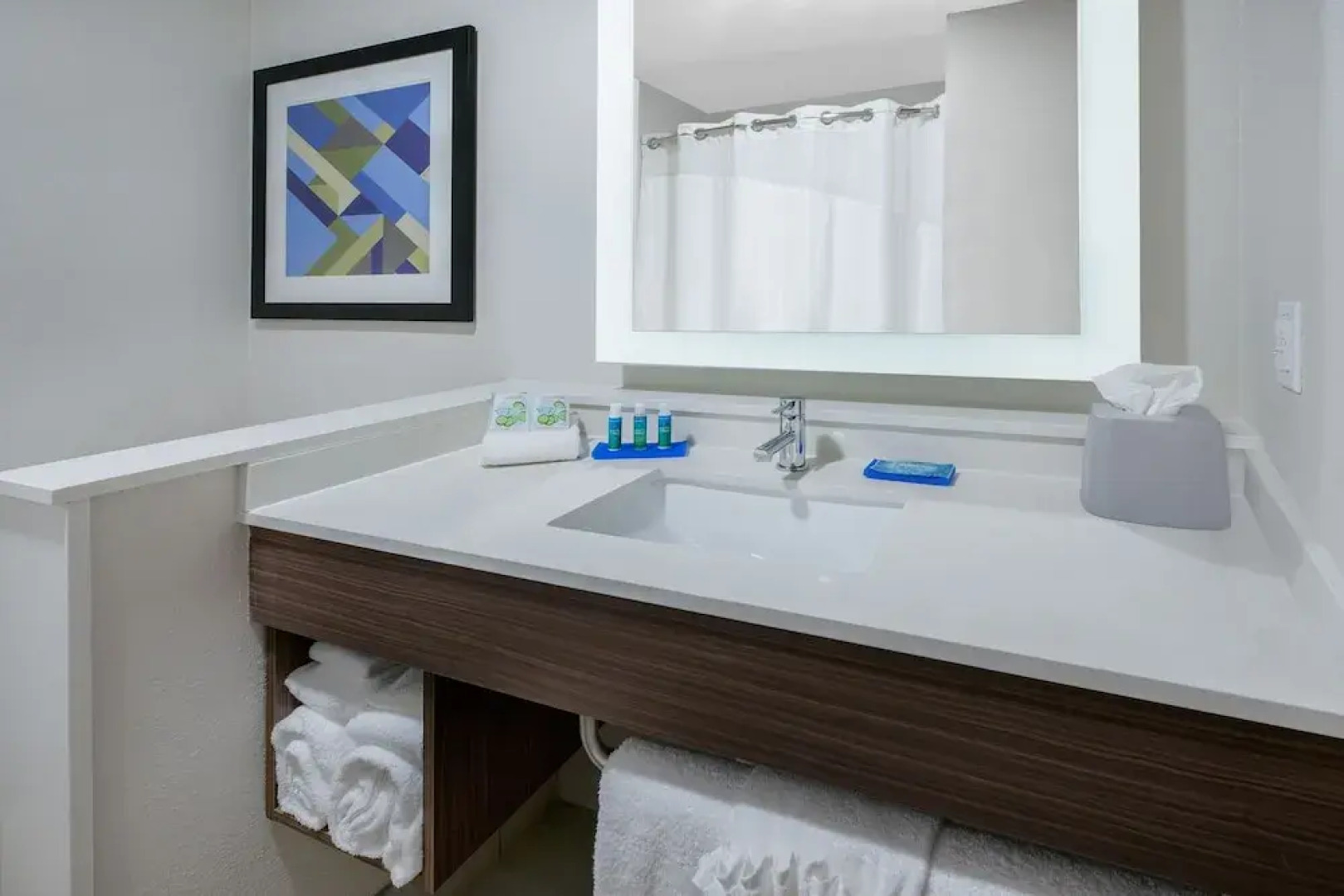 Holiday Inn Express & Suites Bryan