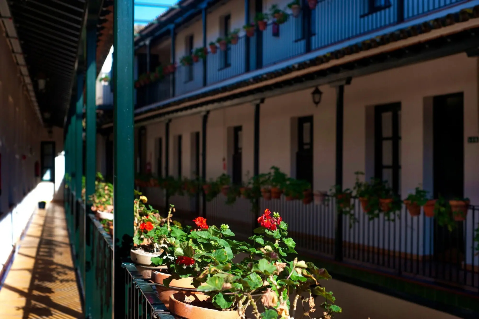 Patio De La Cartuja