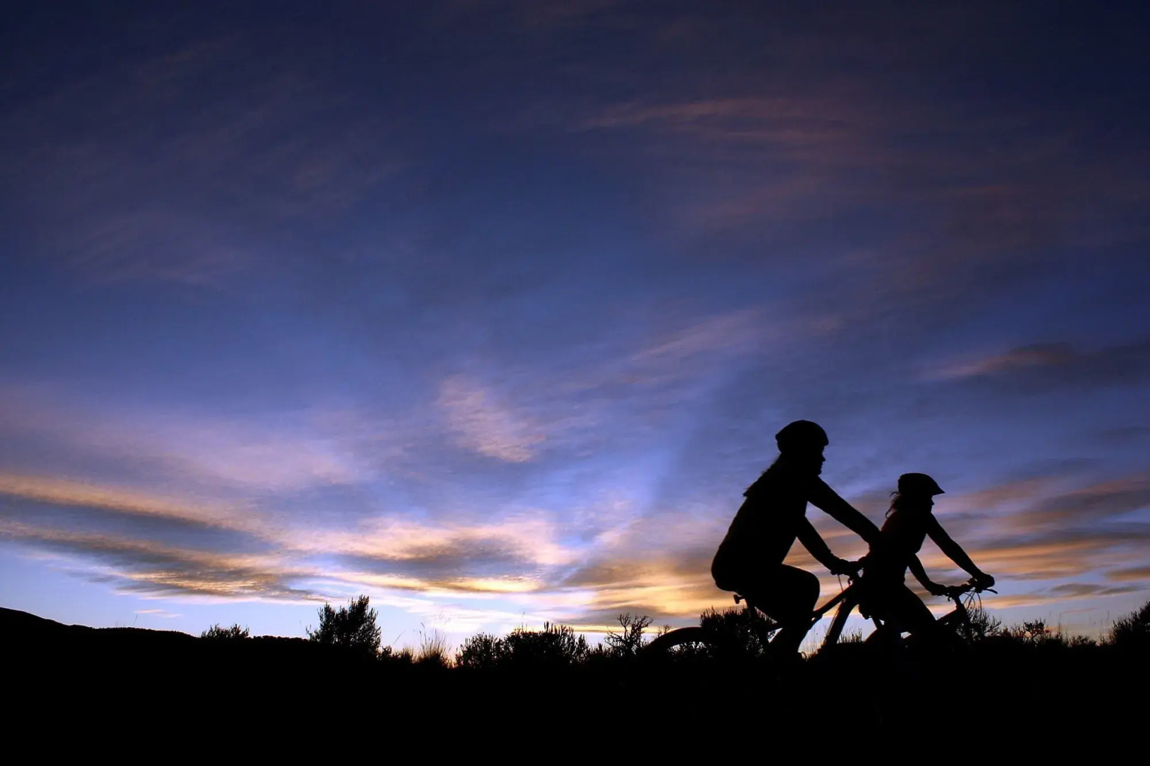 Best Western Plus Eagle/Vail Airport