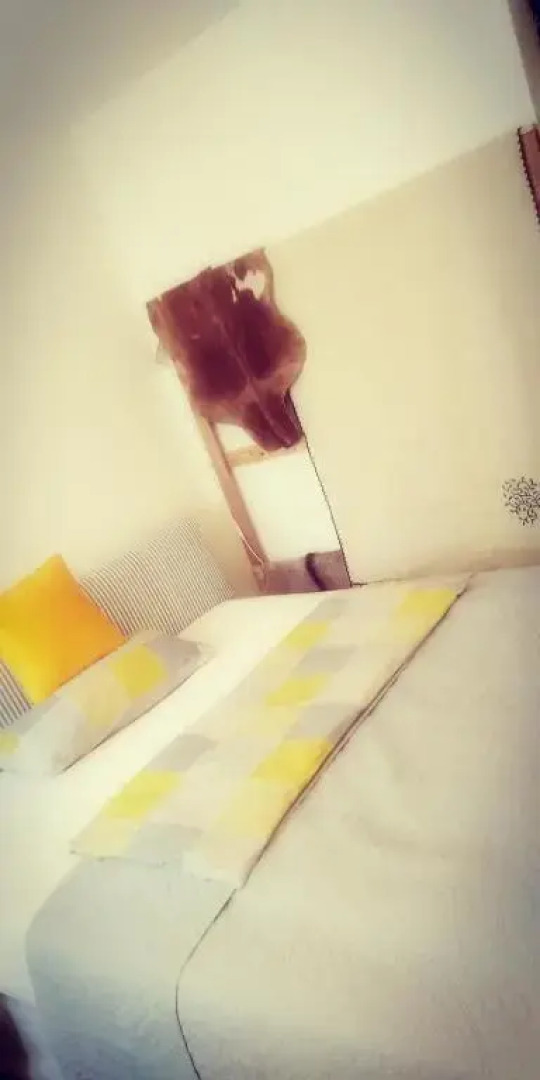 Sroom 118 and 119 in Center