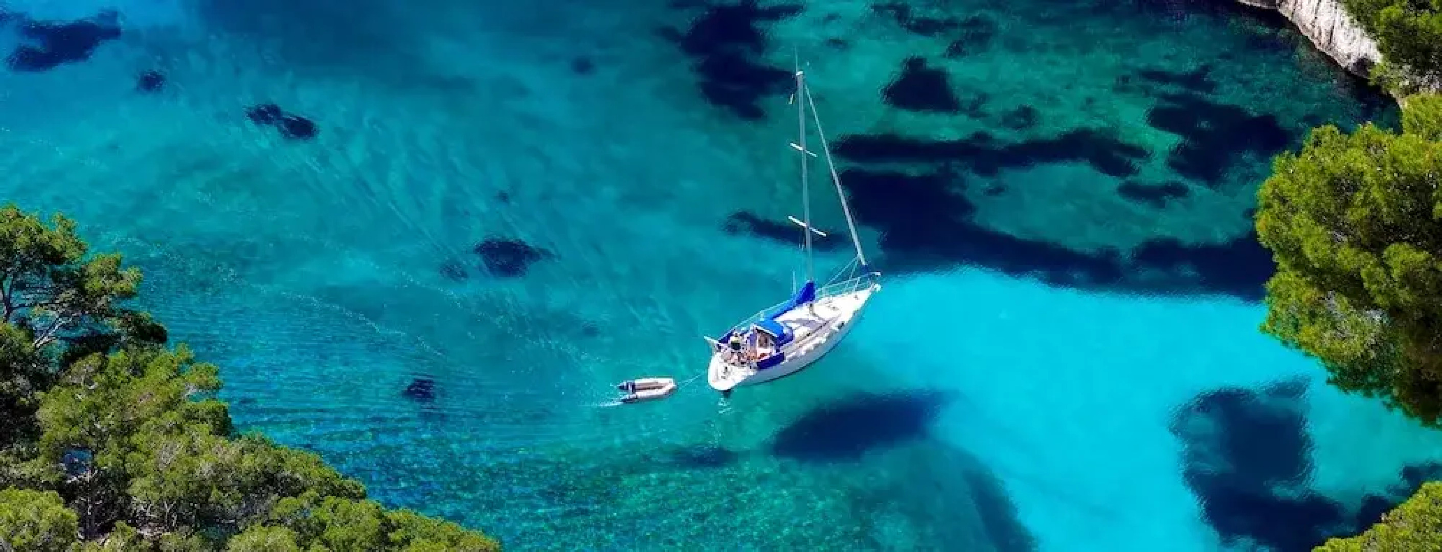 La Tanière de l'Ours Blanc Aubagne-Cassis-Aix en Provence