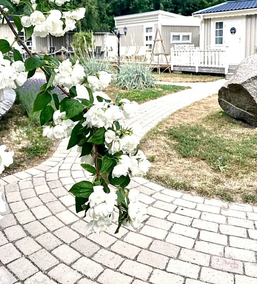 Strandnära Hostel Bed and Breakfast