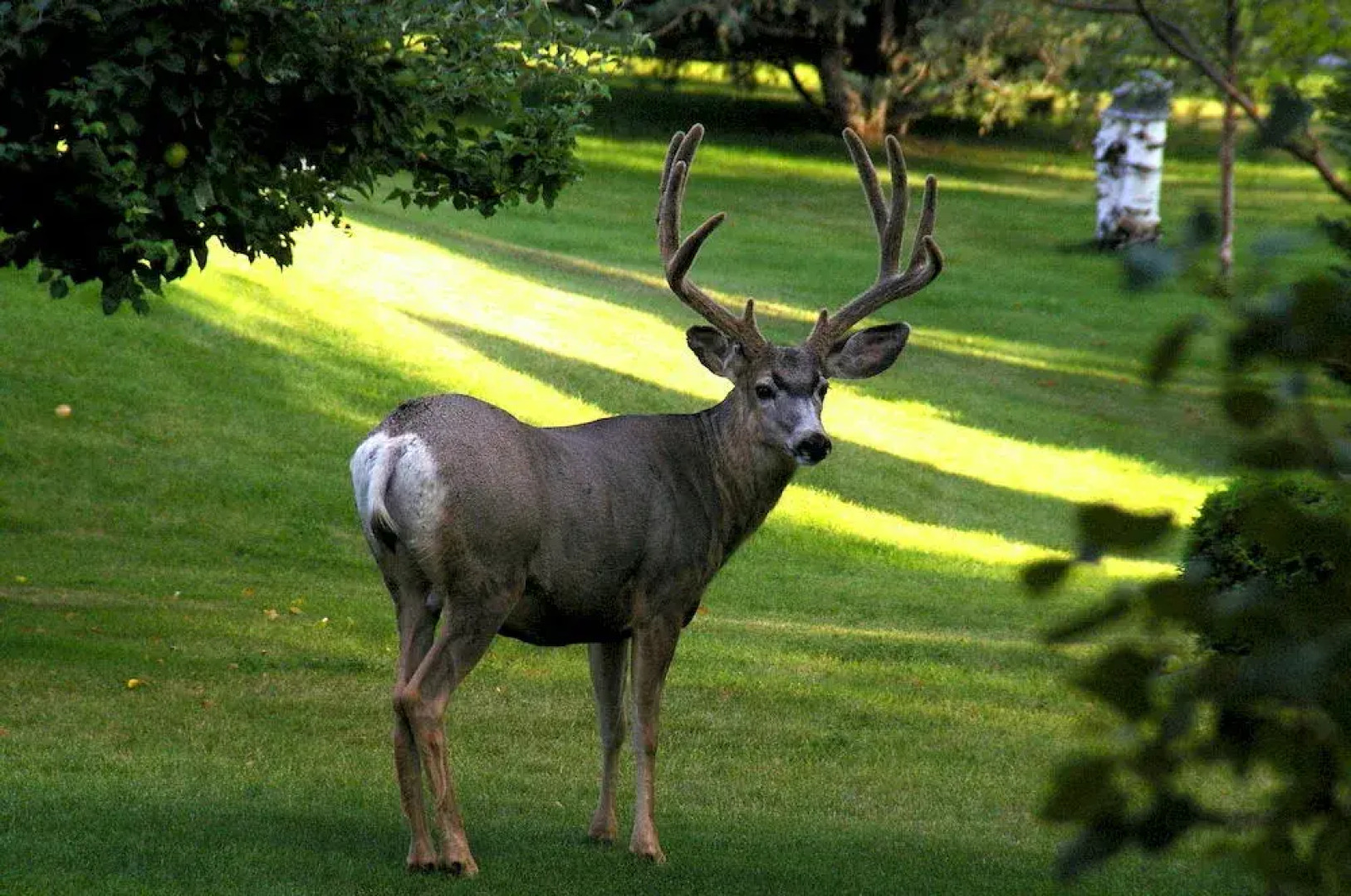 Windermere Lakeside Bed and Breakfast