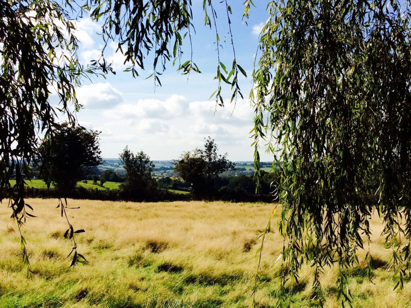 Humphries Cross Apartments