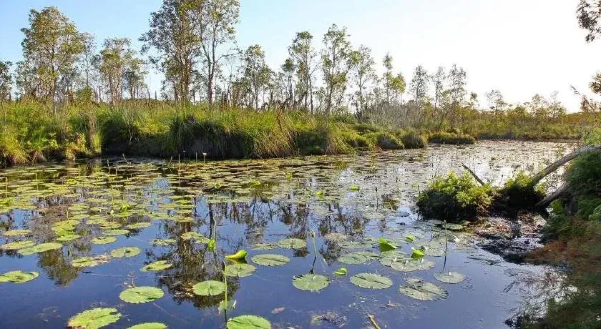 Salamander Bay Bed and Breakfast