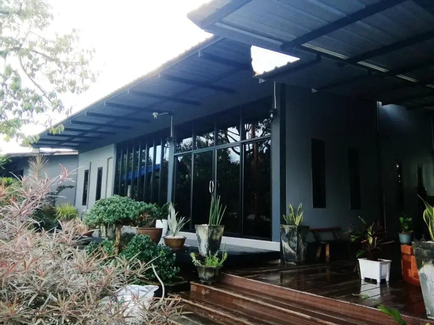 Wilderness Mountain View