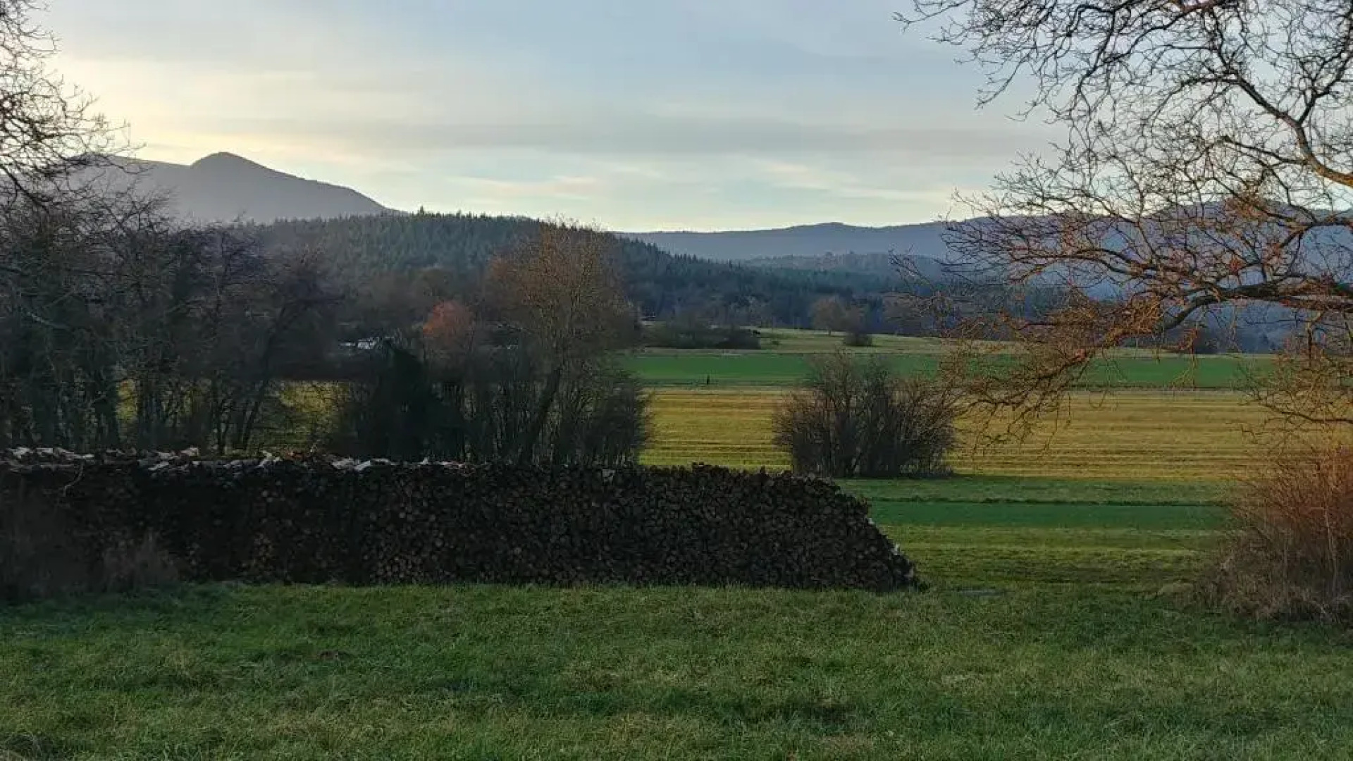 Au jardin de la Maison des Soeurs