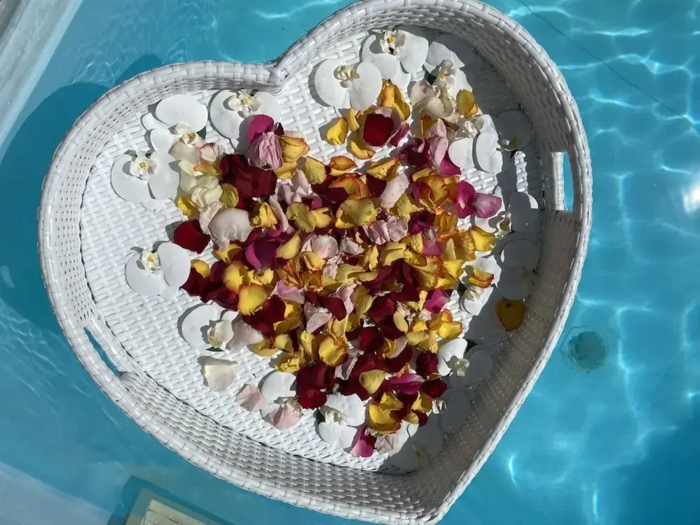 Eden Paradise Spa Ecolodge