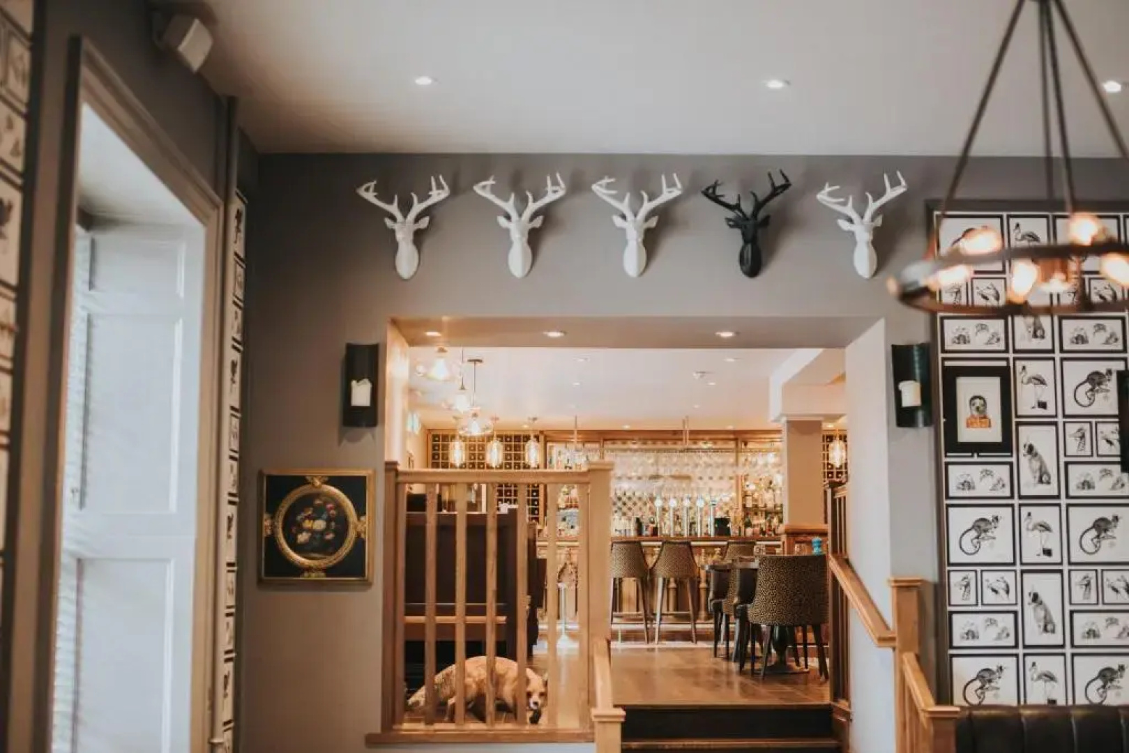 Banchory Lodge Hotel
