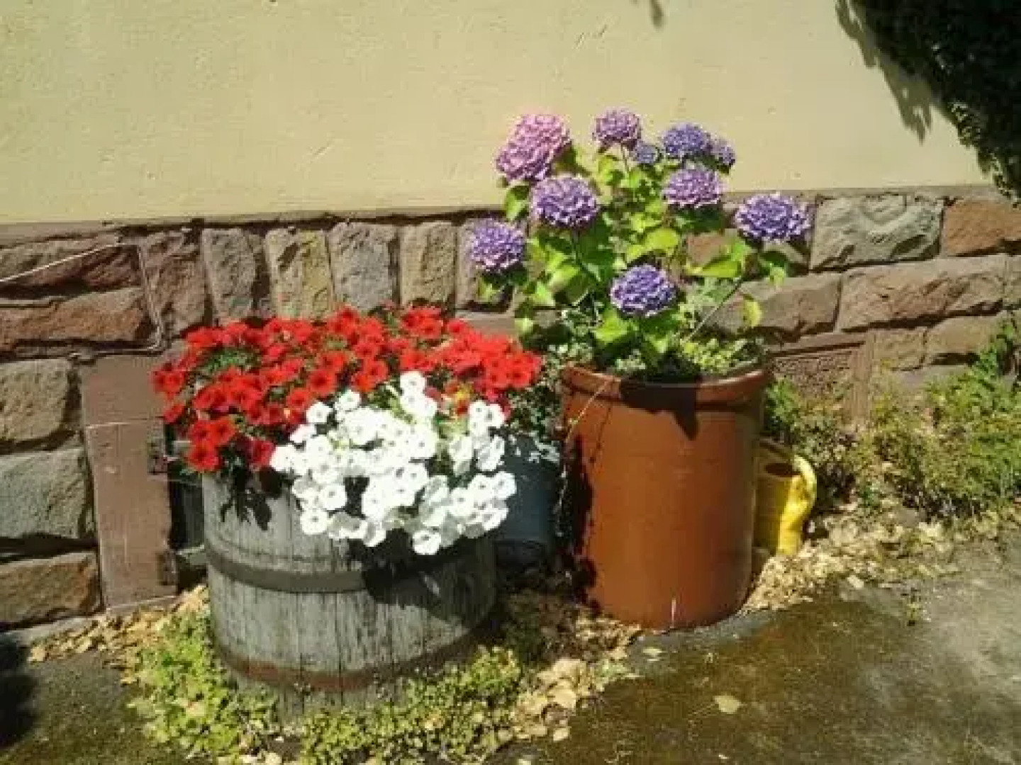 Gastehaus Zum Alten Schulhaus