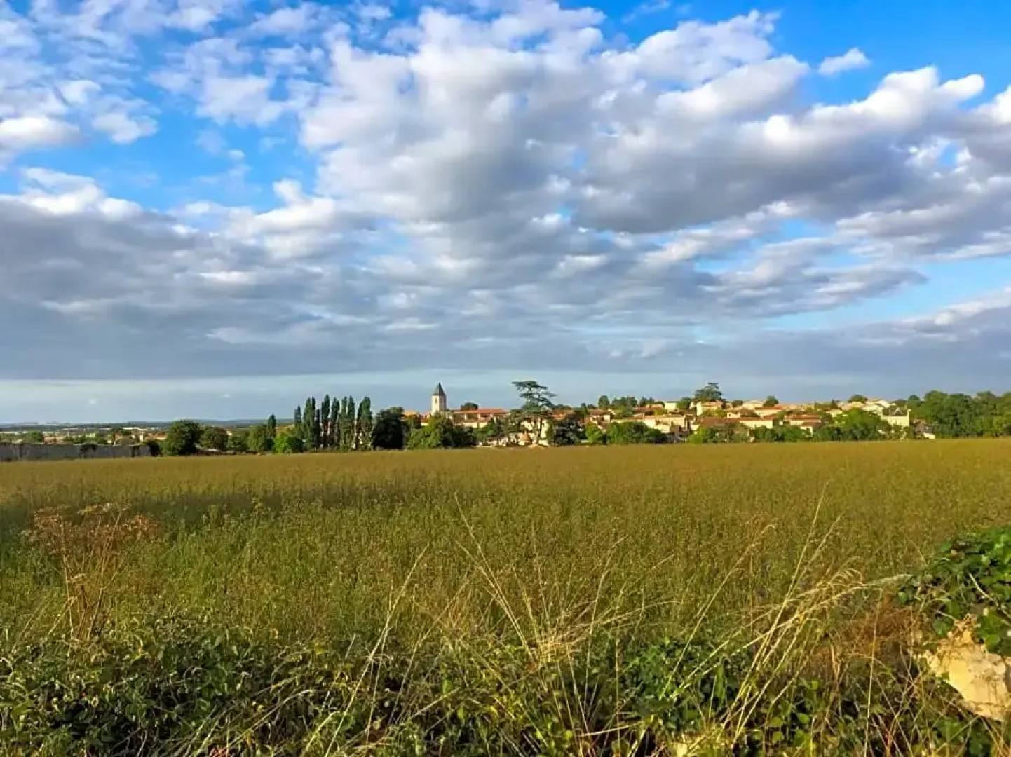 Le Grenier 1 Rue Verte Tusson 16140 France