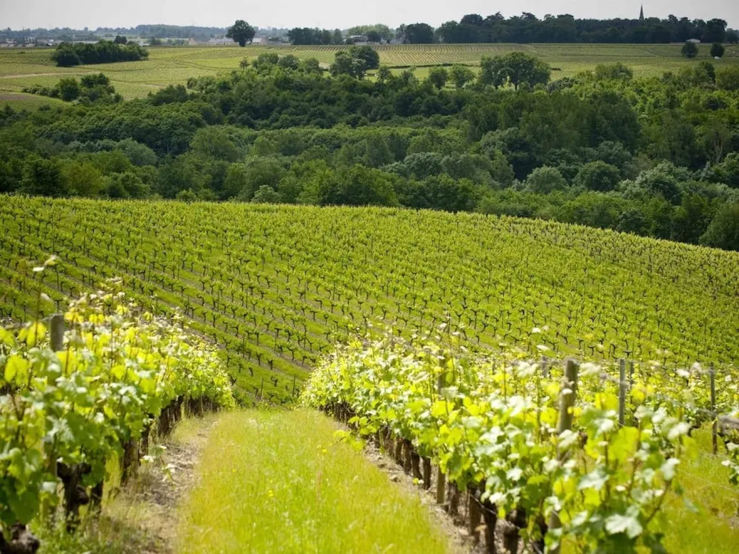 Domaine de la Soucherie