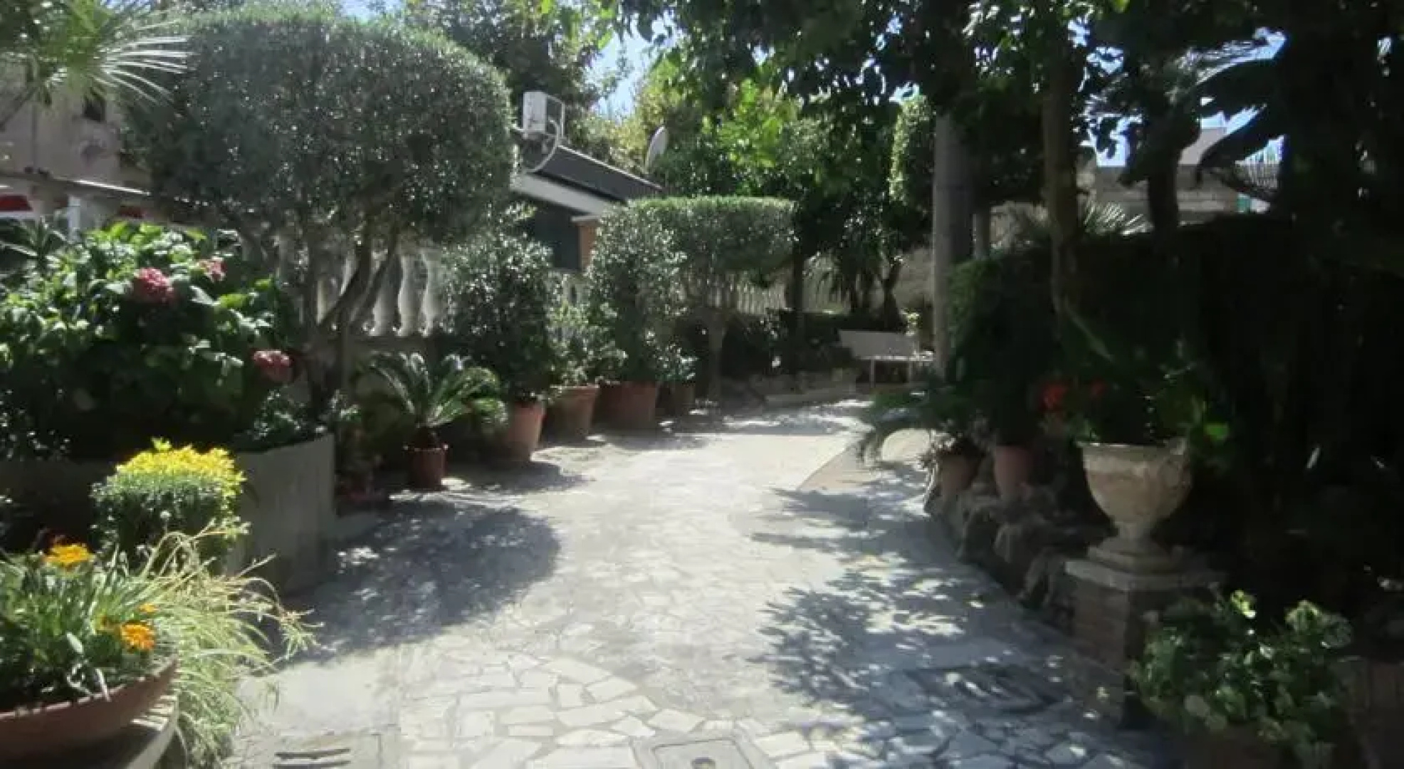 Residence Nettuno