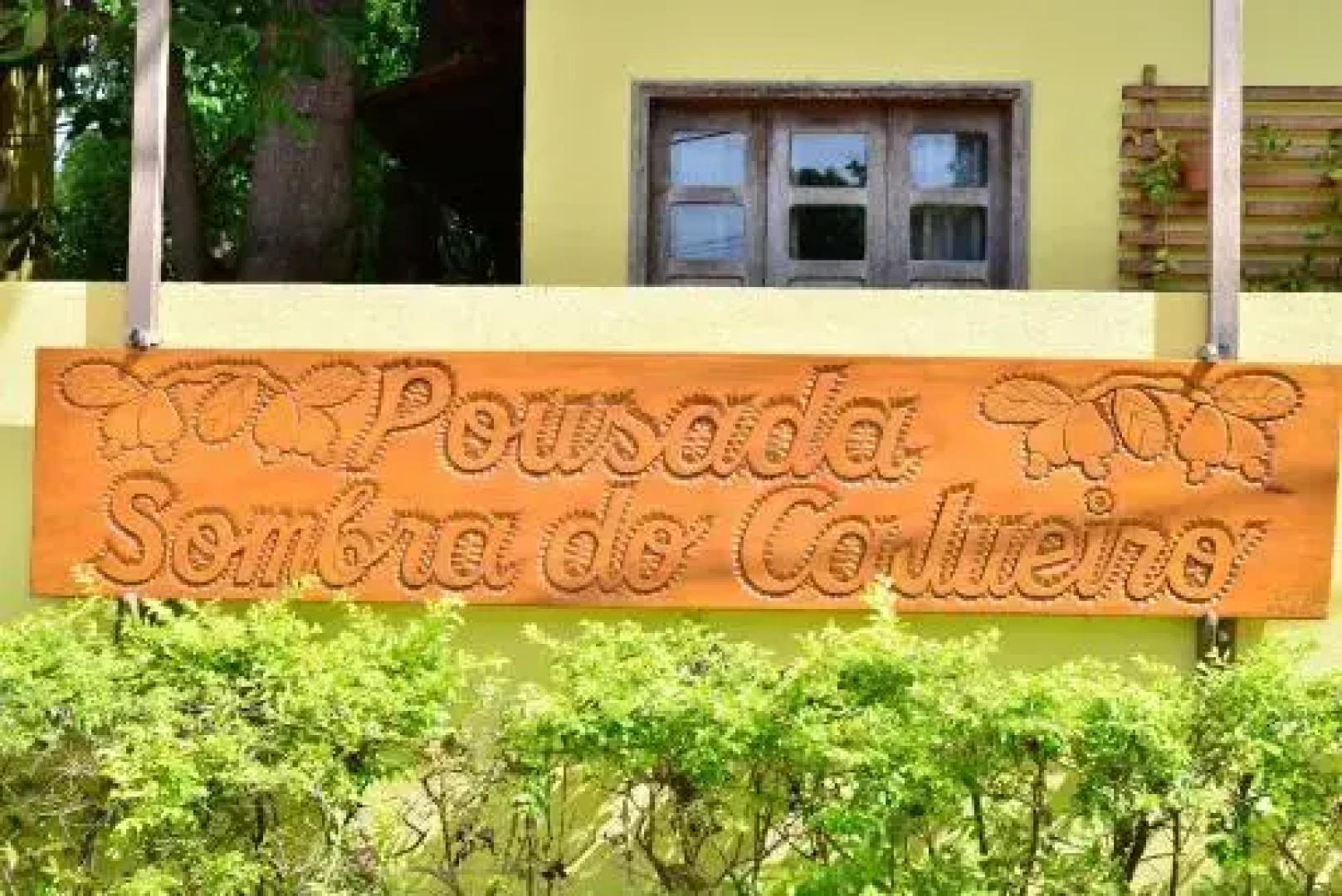 Pousada Sombra do Cajueiro