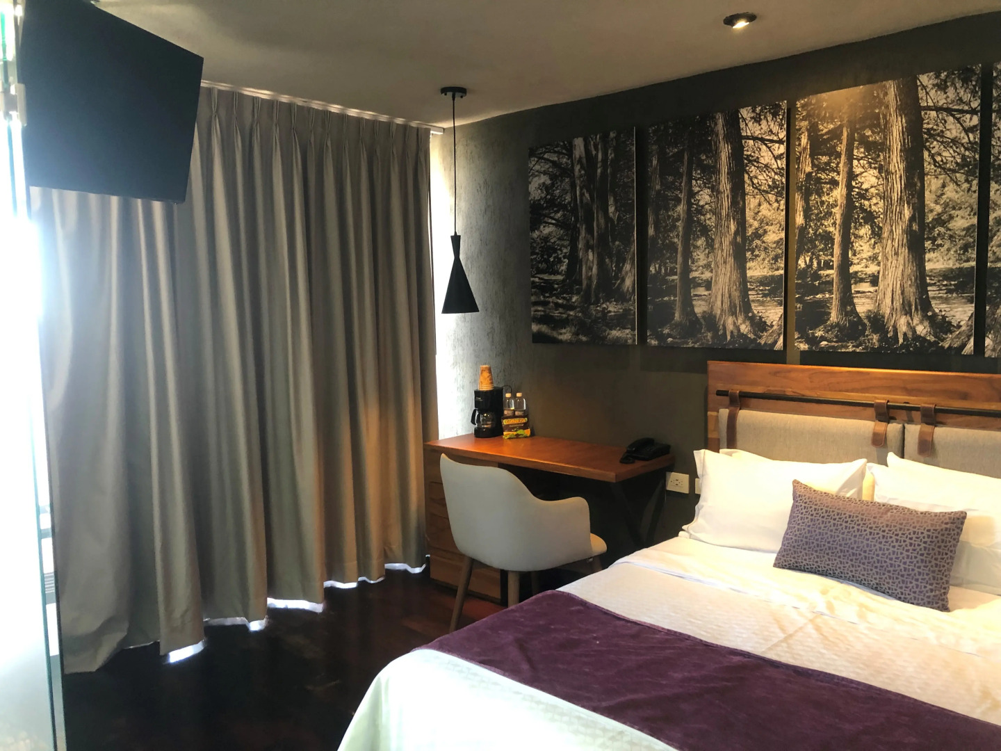 Gamma Rincón de Santiago