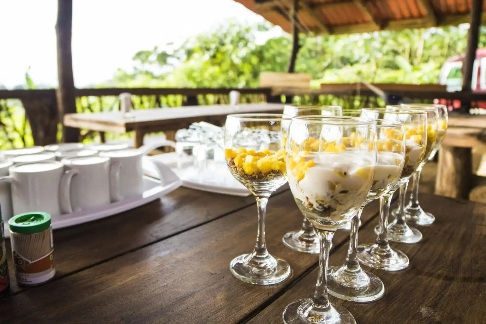 La Tigra Rainforest Lodge