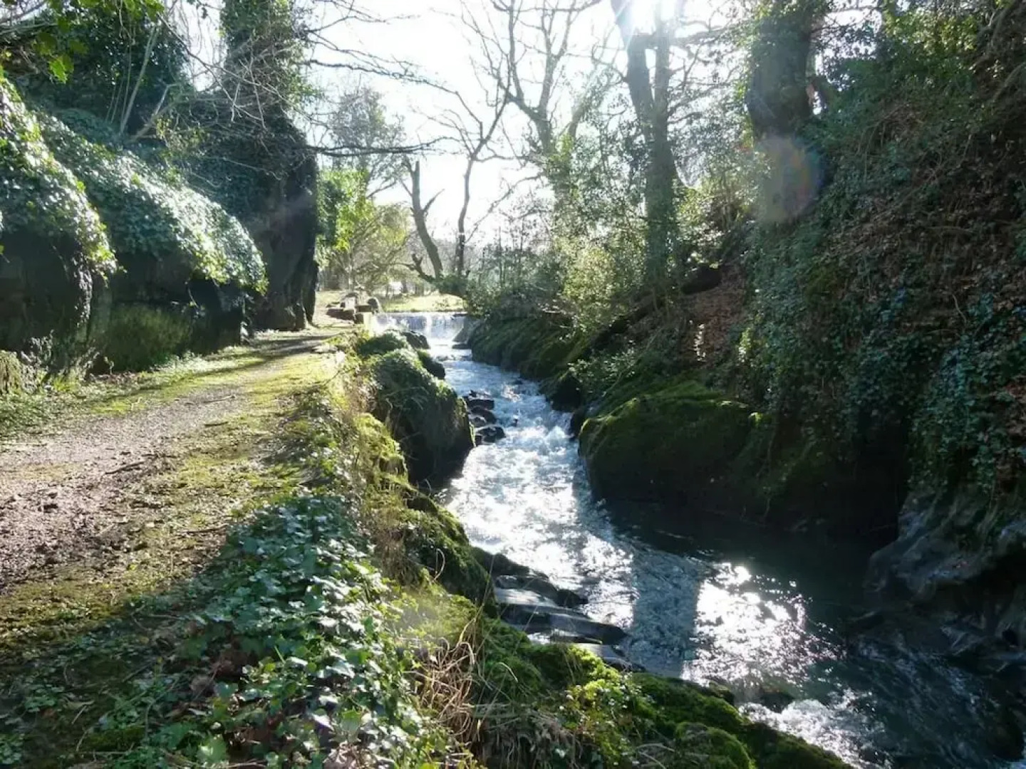 Welsh Countryside Retreat - Felin Crewi Cottages