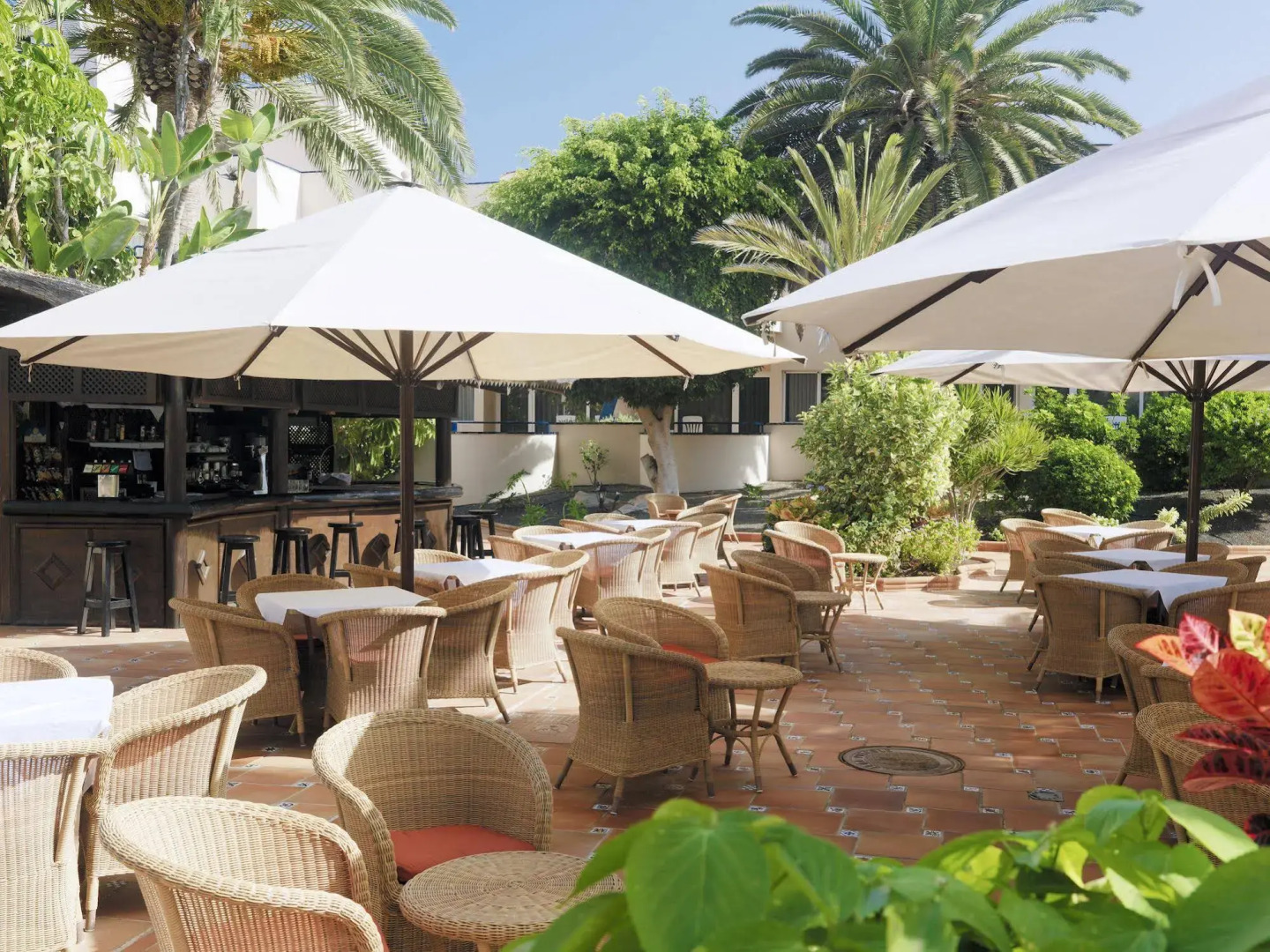 H10 Ocean Dunas - Adults Only