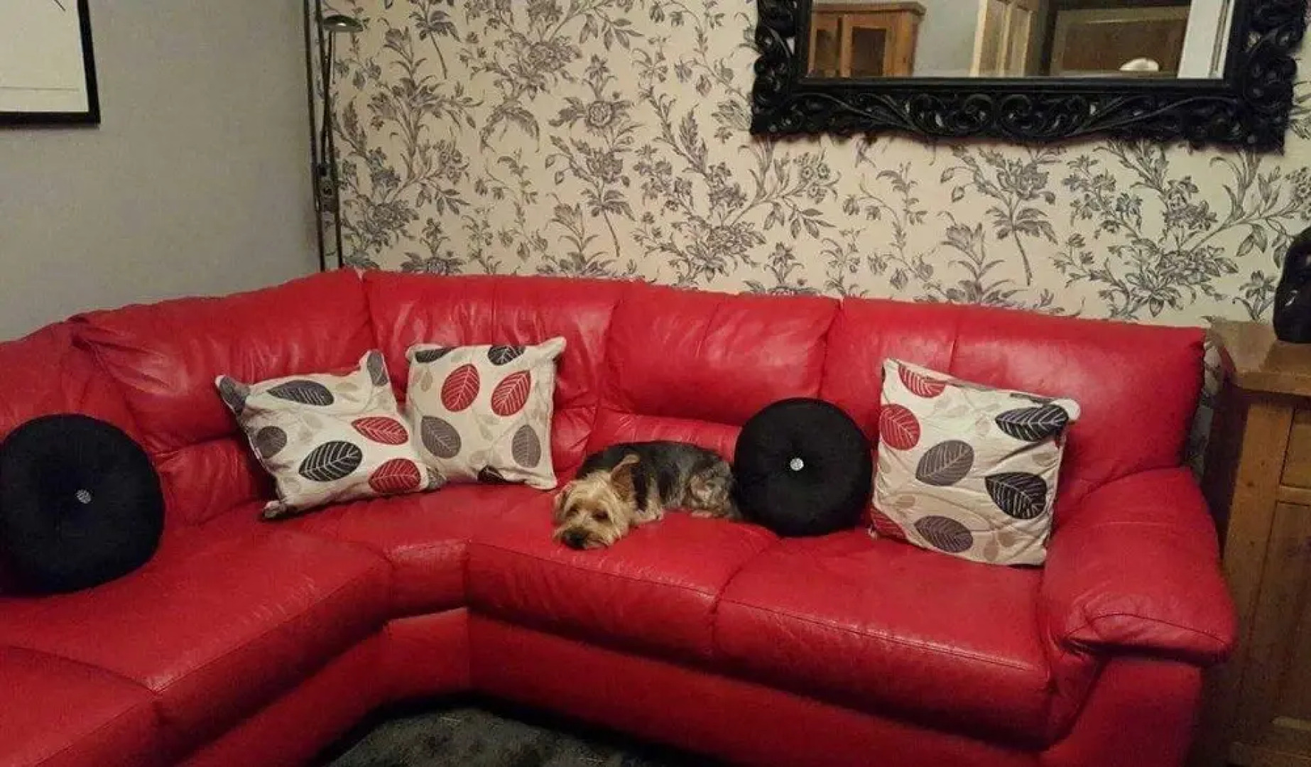 Beech Lane Farmhouse