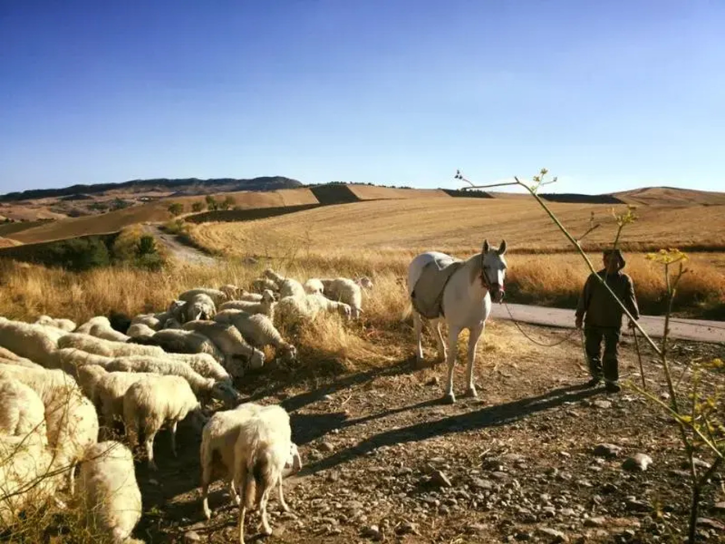 Masseria San Giovanni Sgadari