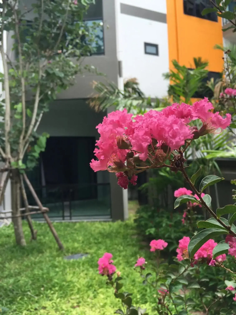 Tandeaw View (SHA Extra Plus)
