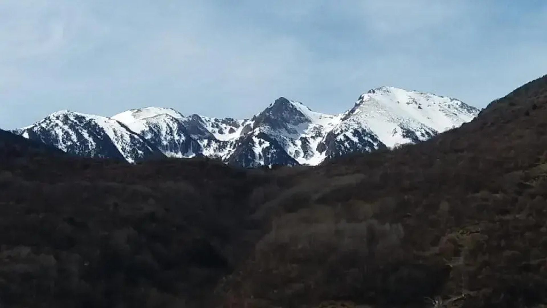 Apartaments Morelló