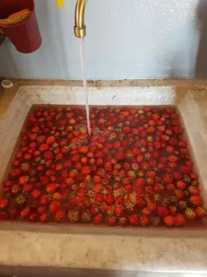 Pelion Villa Alkistis Myth and Magic