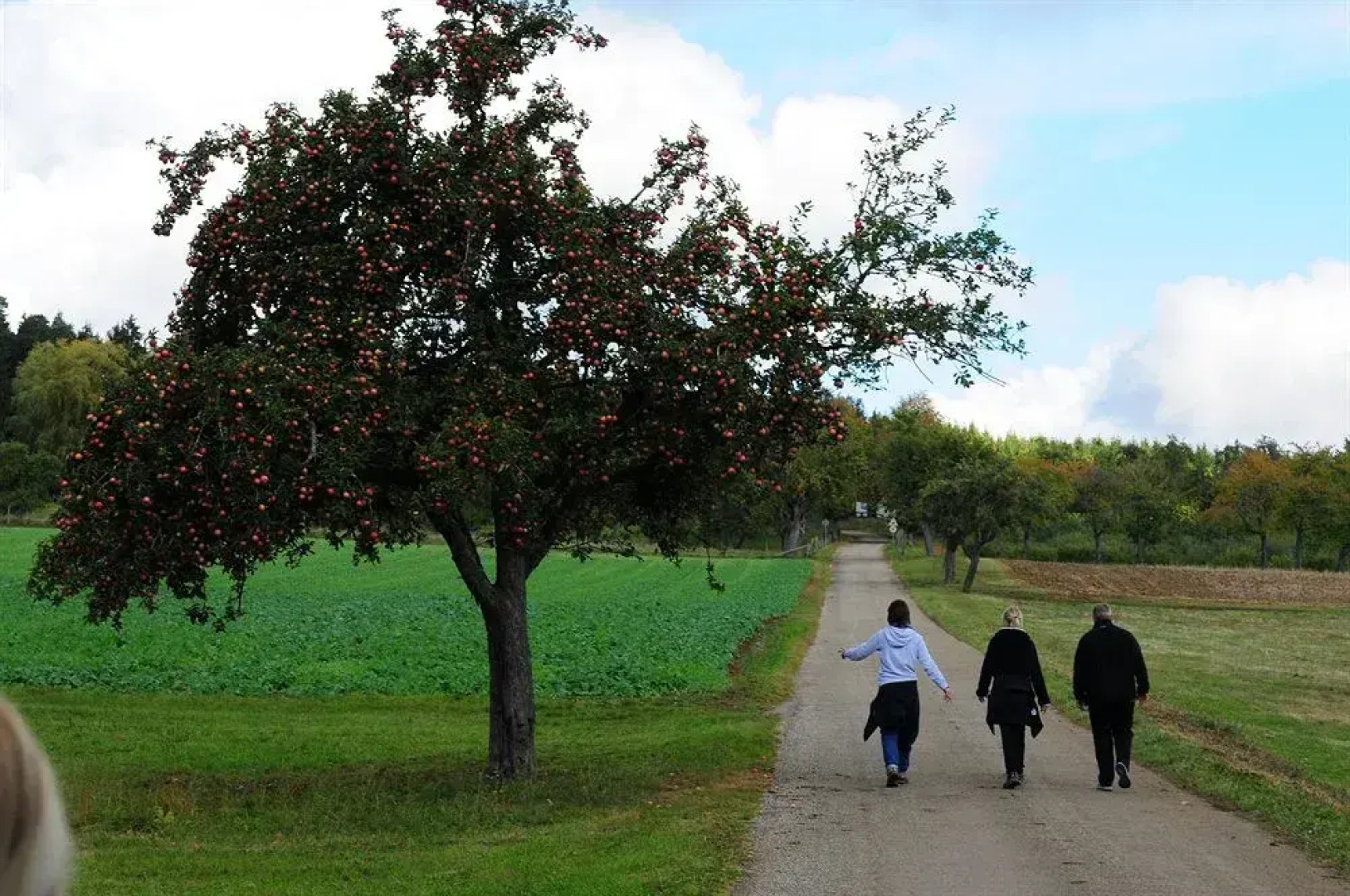 Privathotel - Garni - Pension zur Freystatt am Wasserschloss