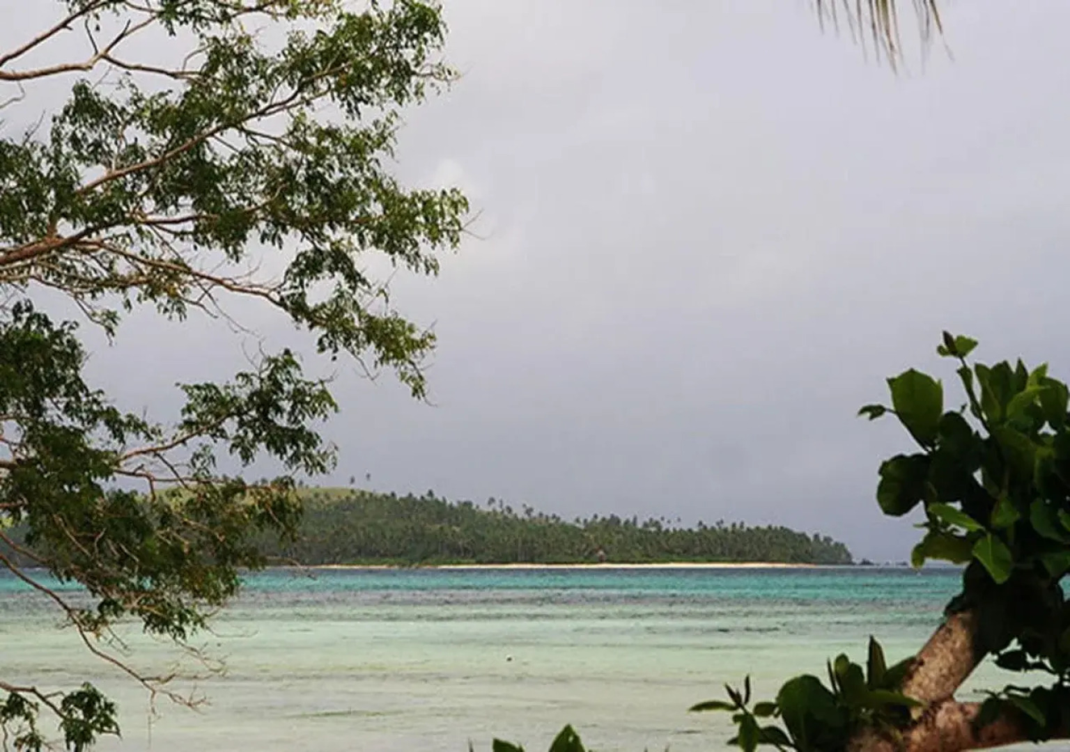 Tarzans Beach Resort