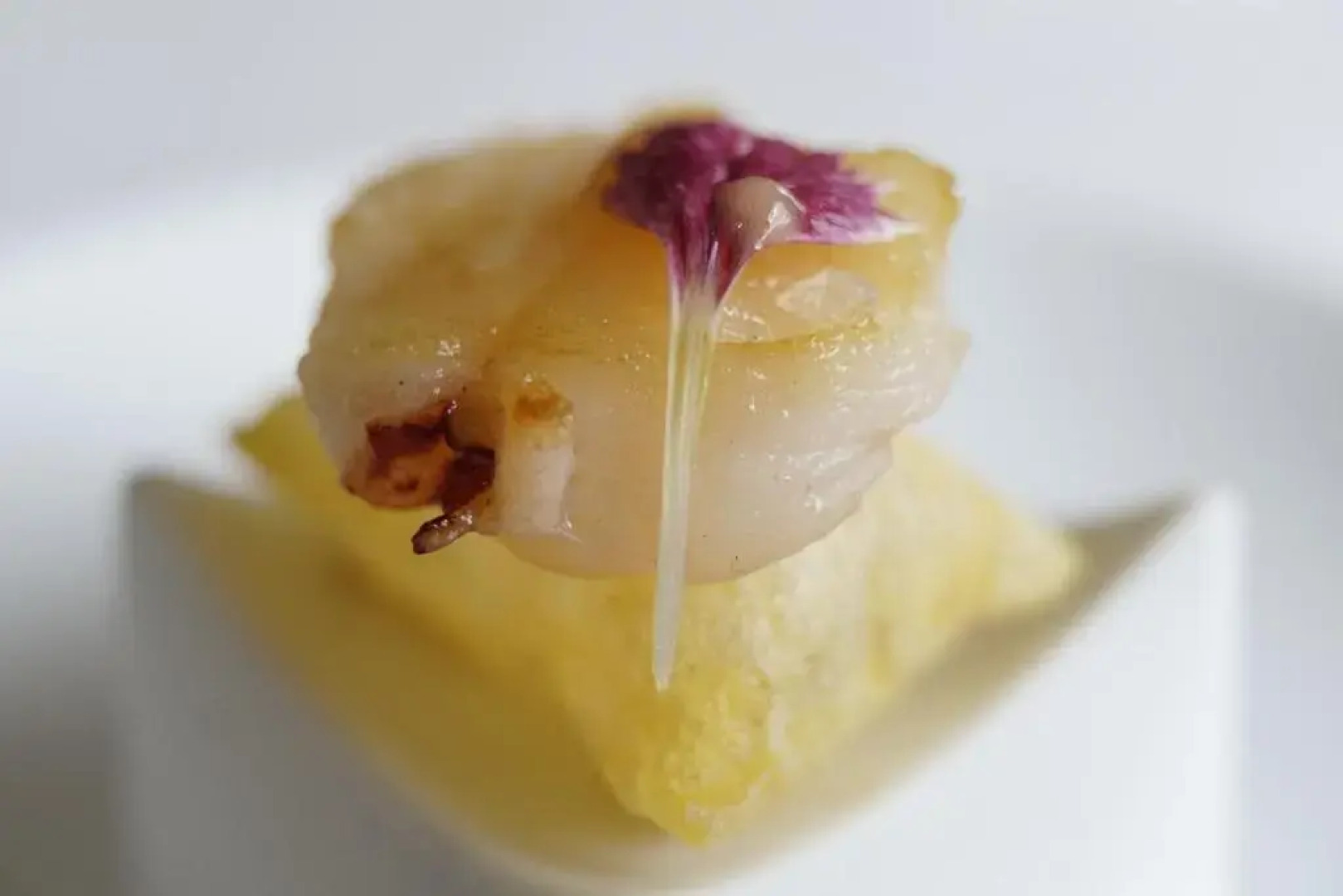 Hotel Villa Rosario II, Edificio Moderno