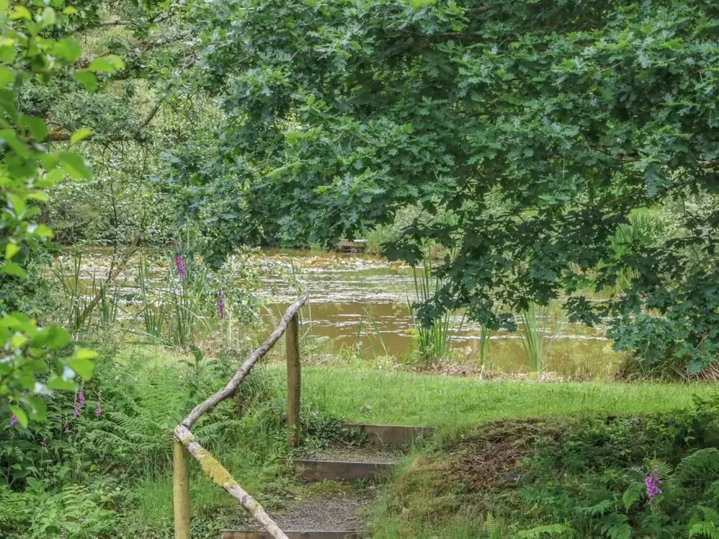 Birch Tree Kingslakes