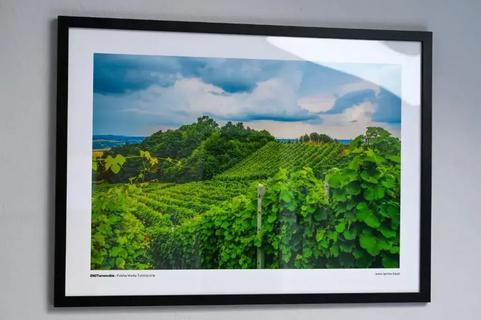 Tarnowskie Centrum Informacji