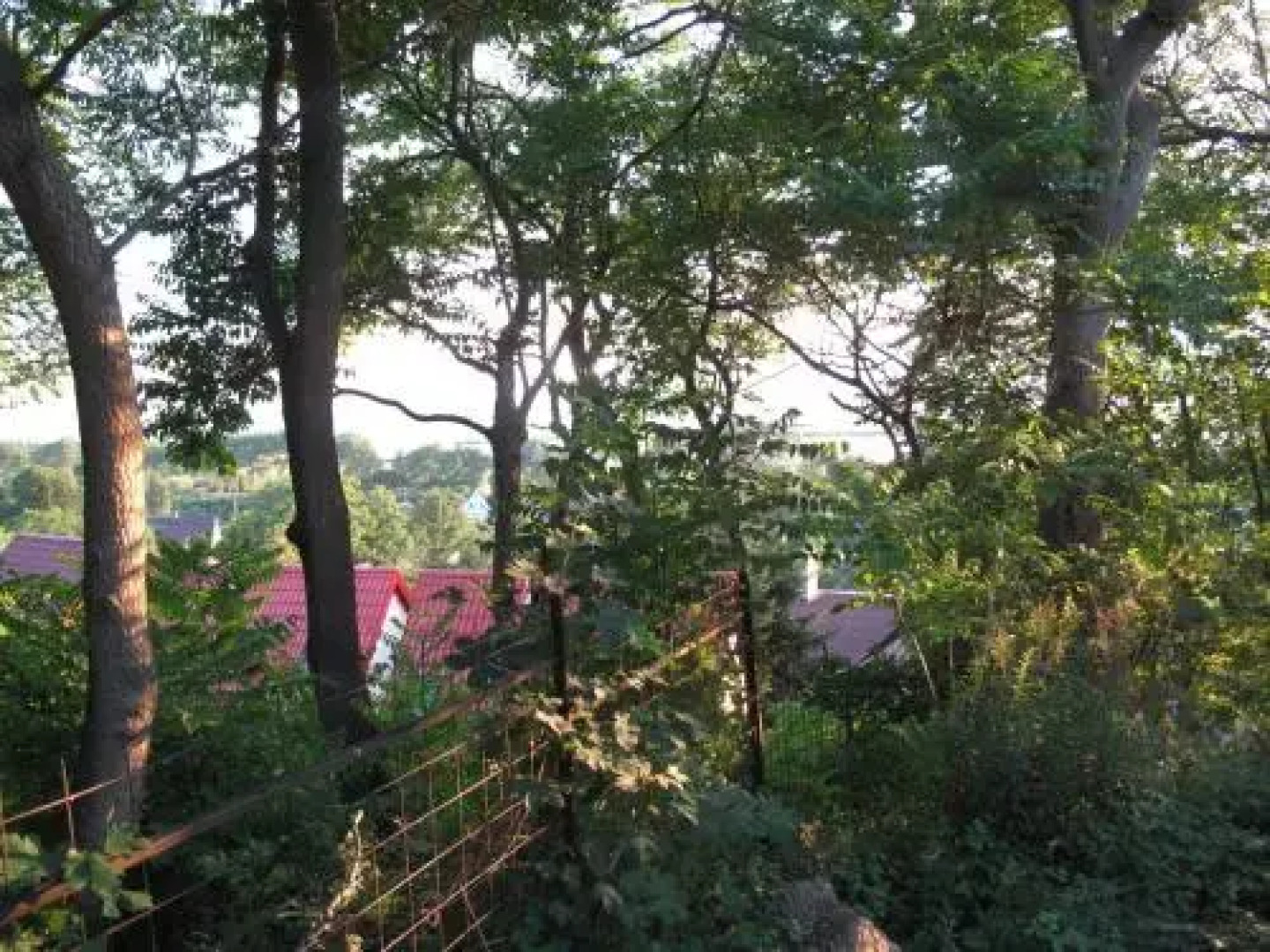 Osrodek Wczasowy Zloty Dab Domki