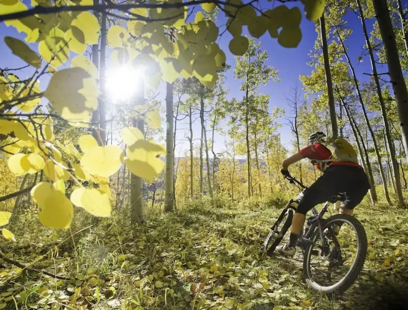 Mountain Peak 4 Bedroom Home by RedAwning