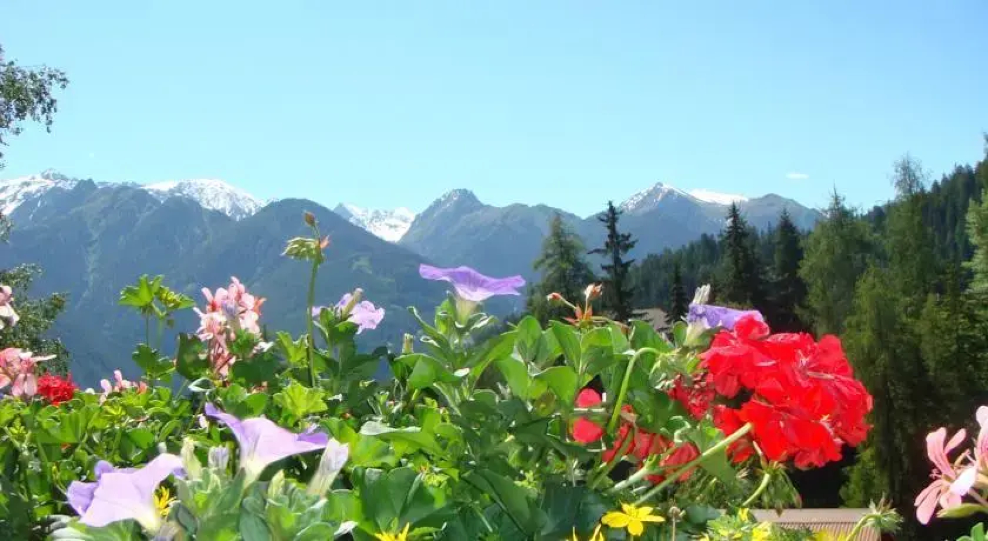 Ferienhaus Alpenrose