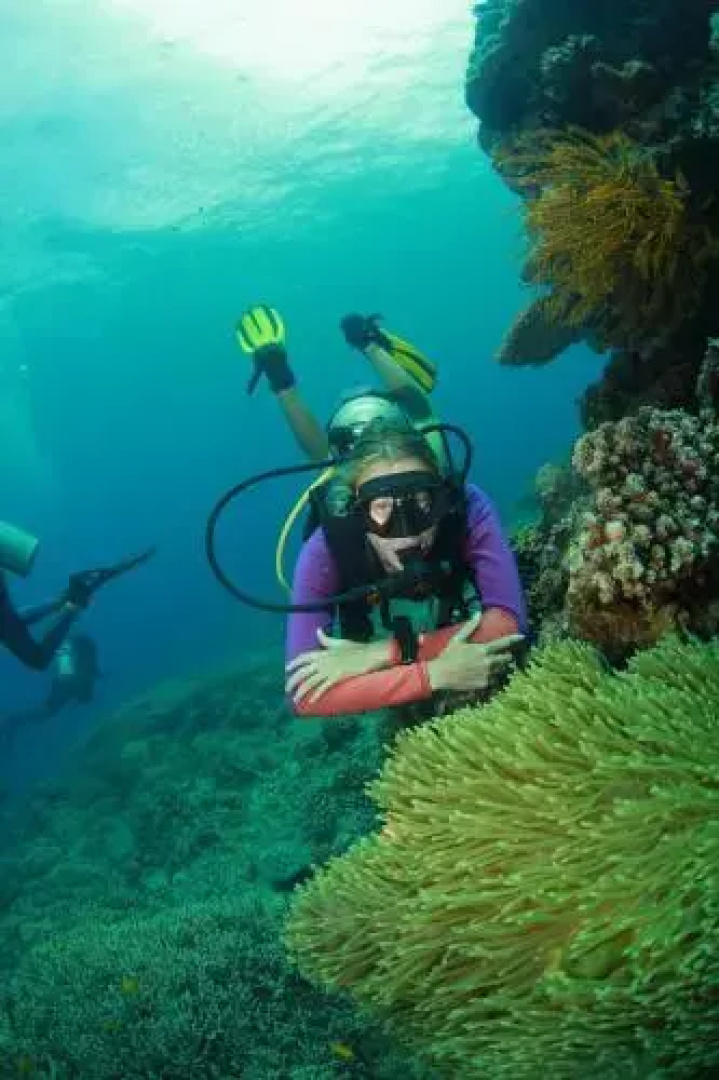 Bongo Bongo Divers
