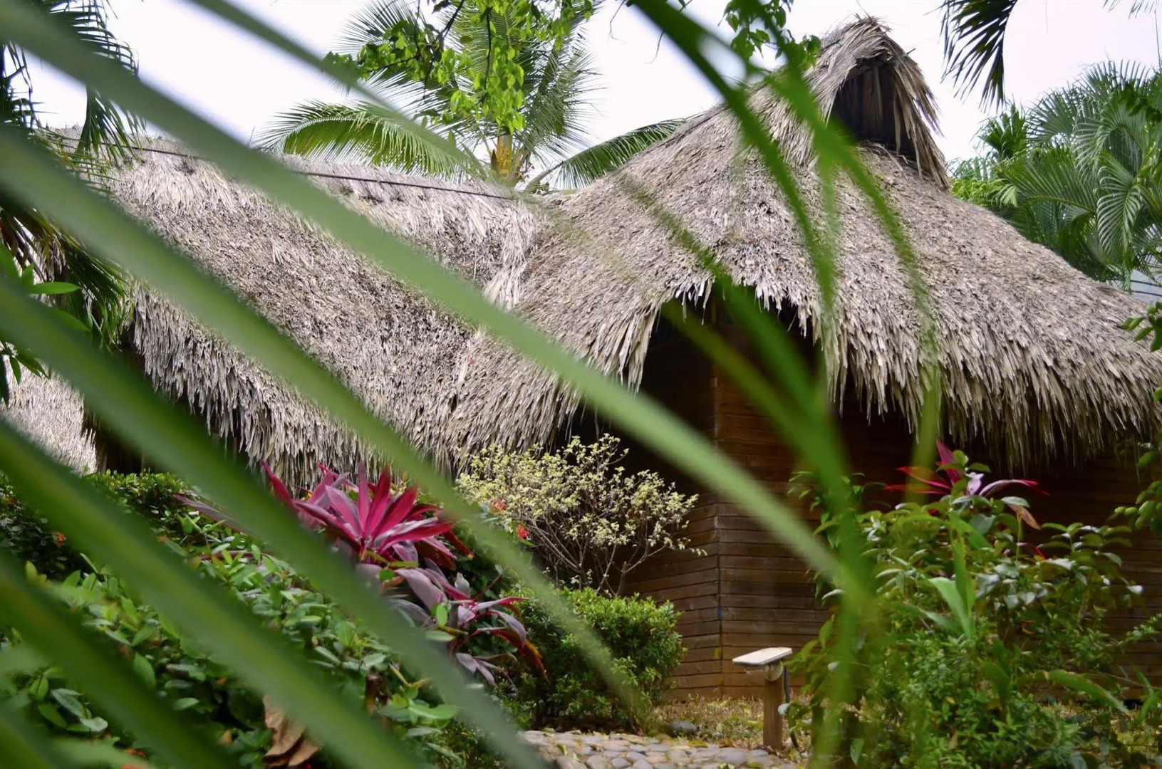 Posadas Ecoturisticas San Rafael