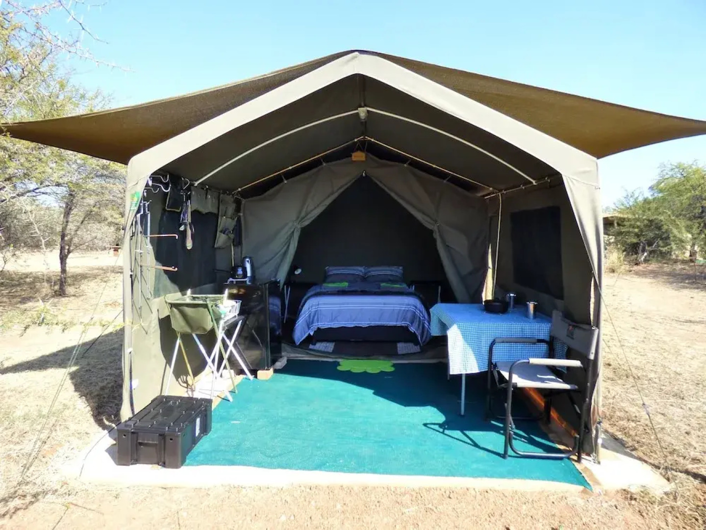 Thorn Tree Bush Camp