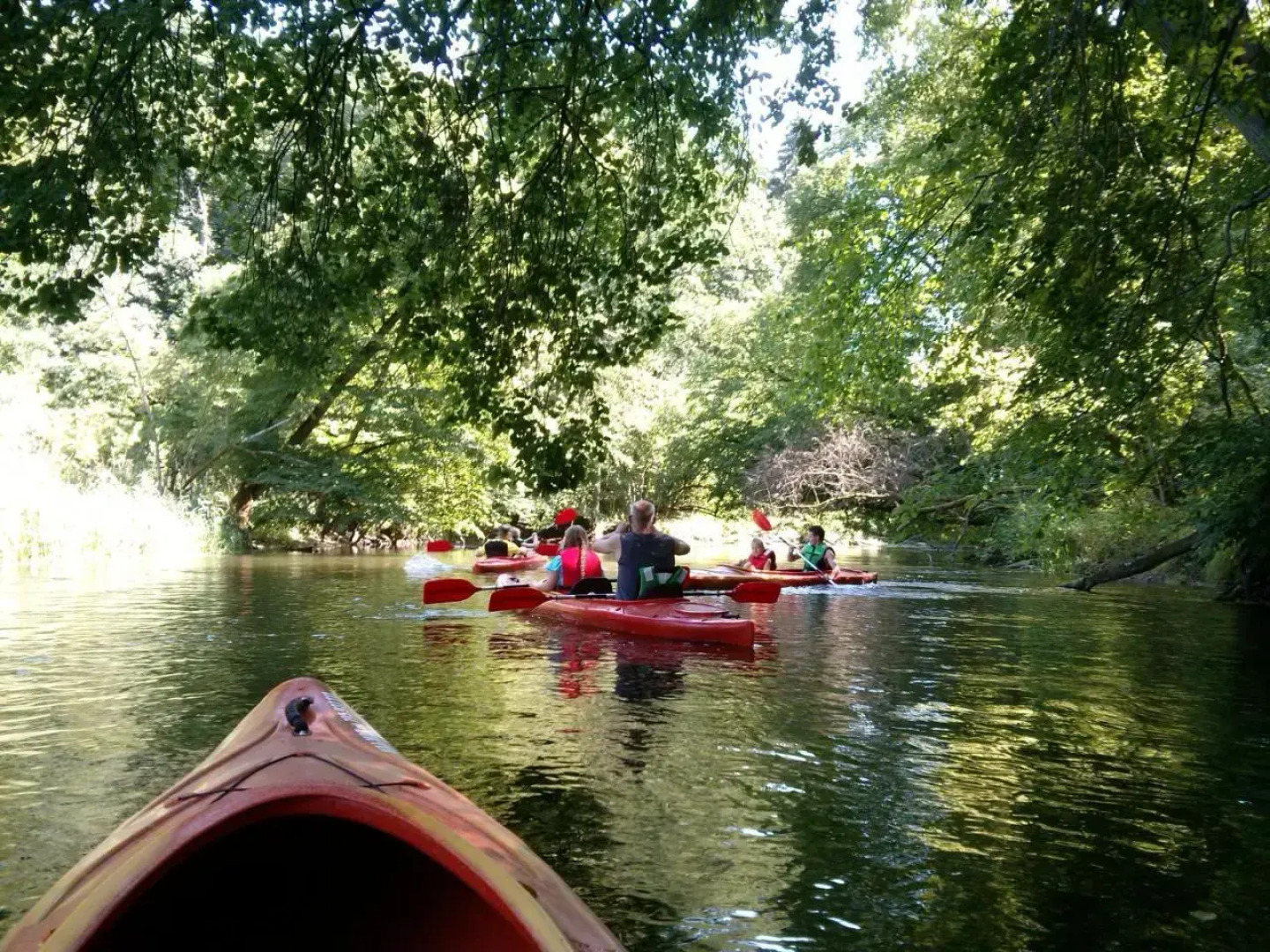 Agroturystyka w Świcie