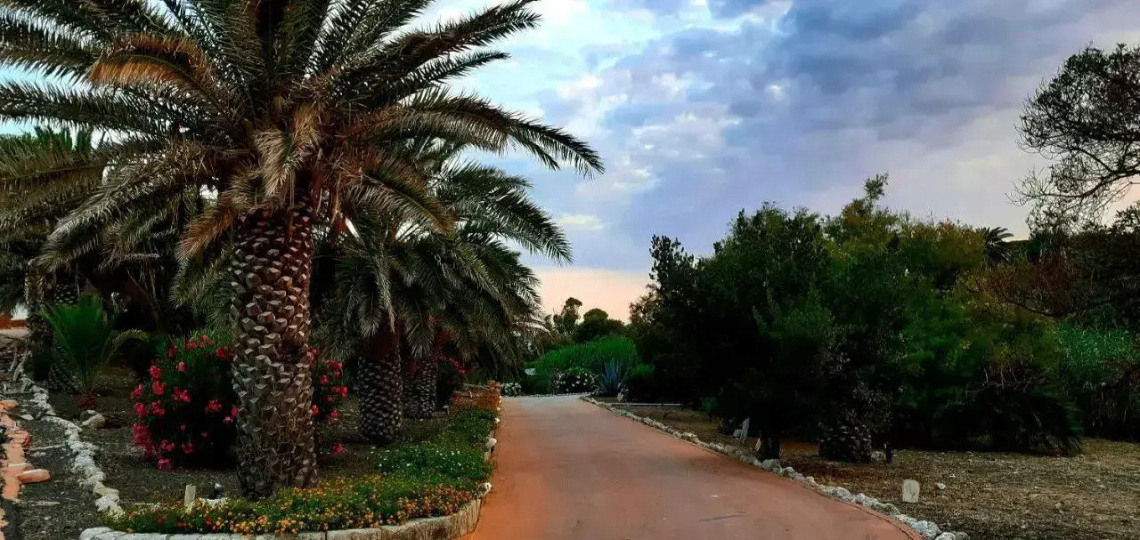 Castello di Falconara