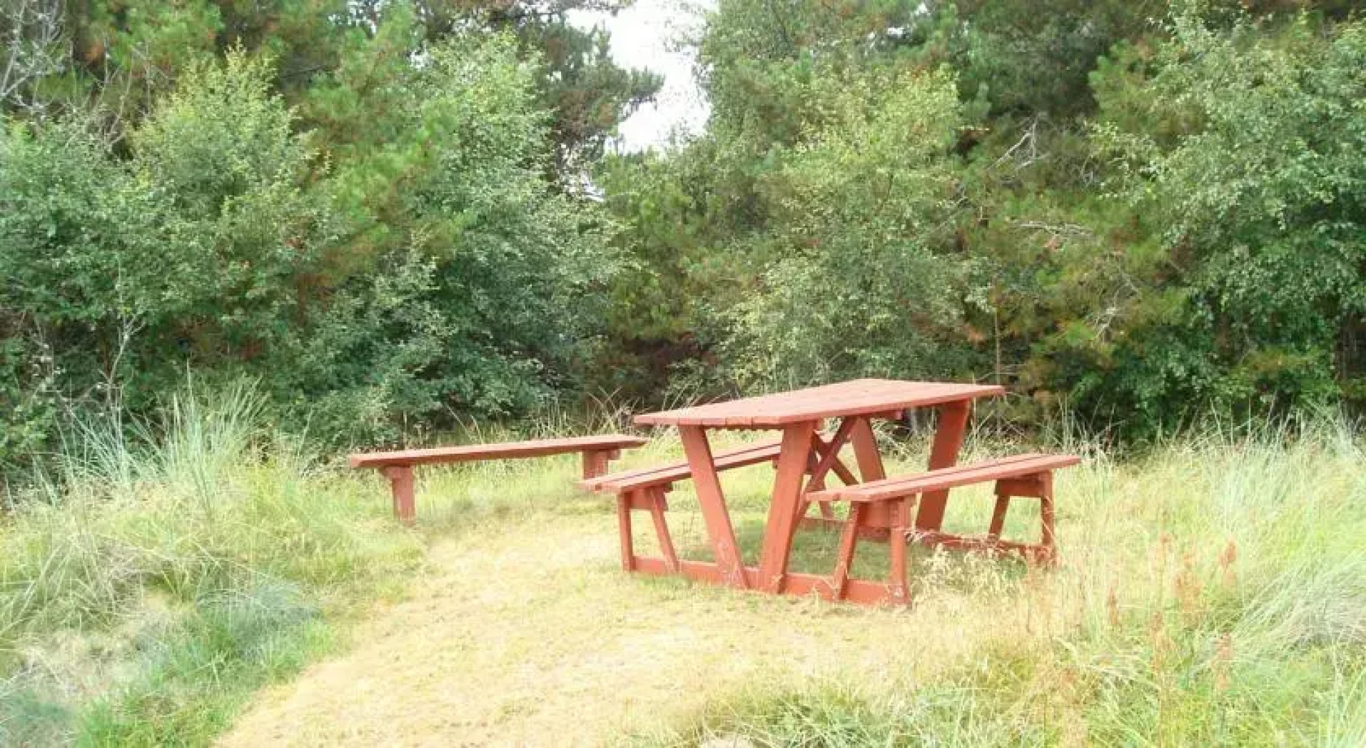 Thorup Strand Holiday House - Markstien 12 - ID 468