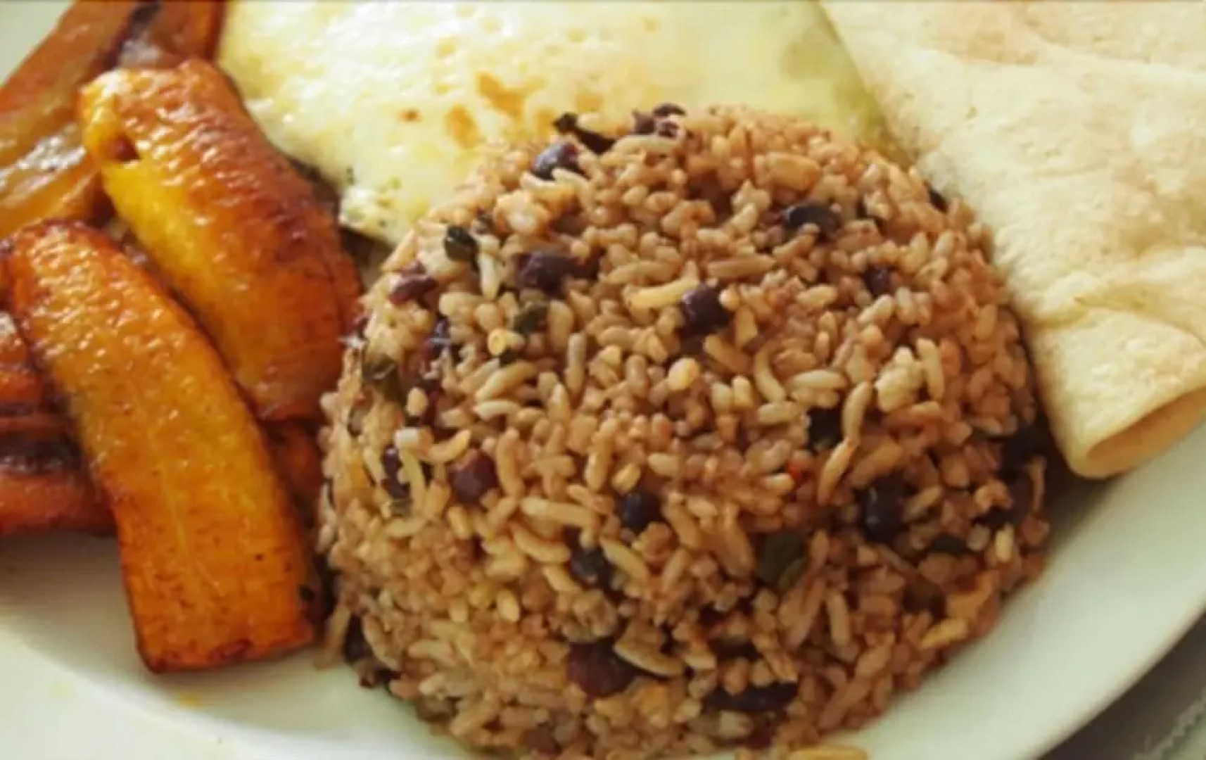 Better Life Suites & Studio