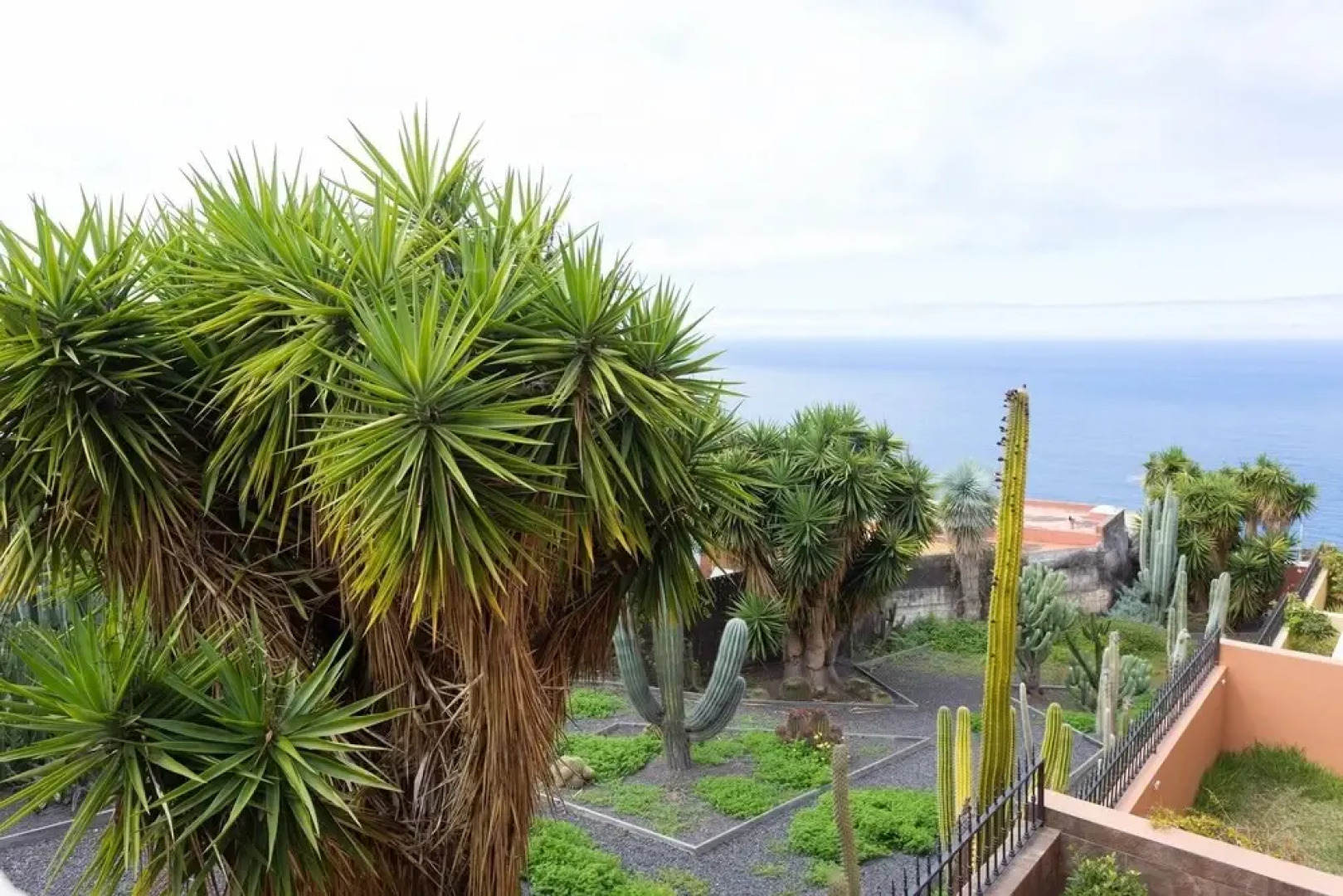 Live Sauzal Los Ángeles