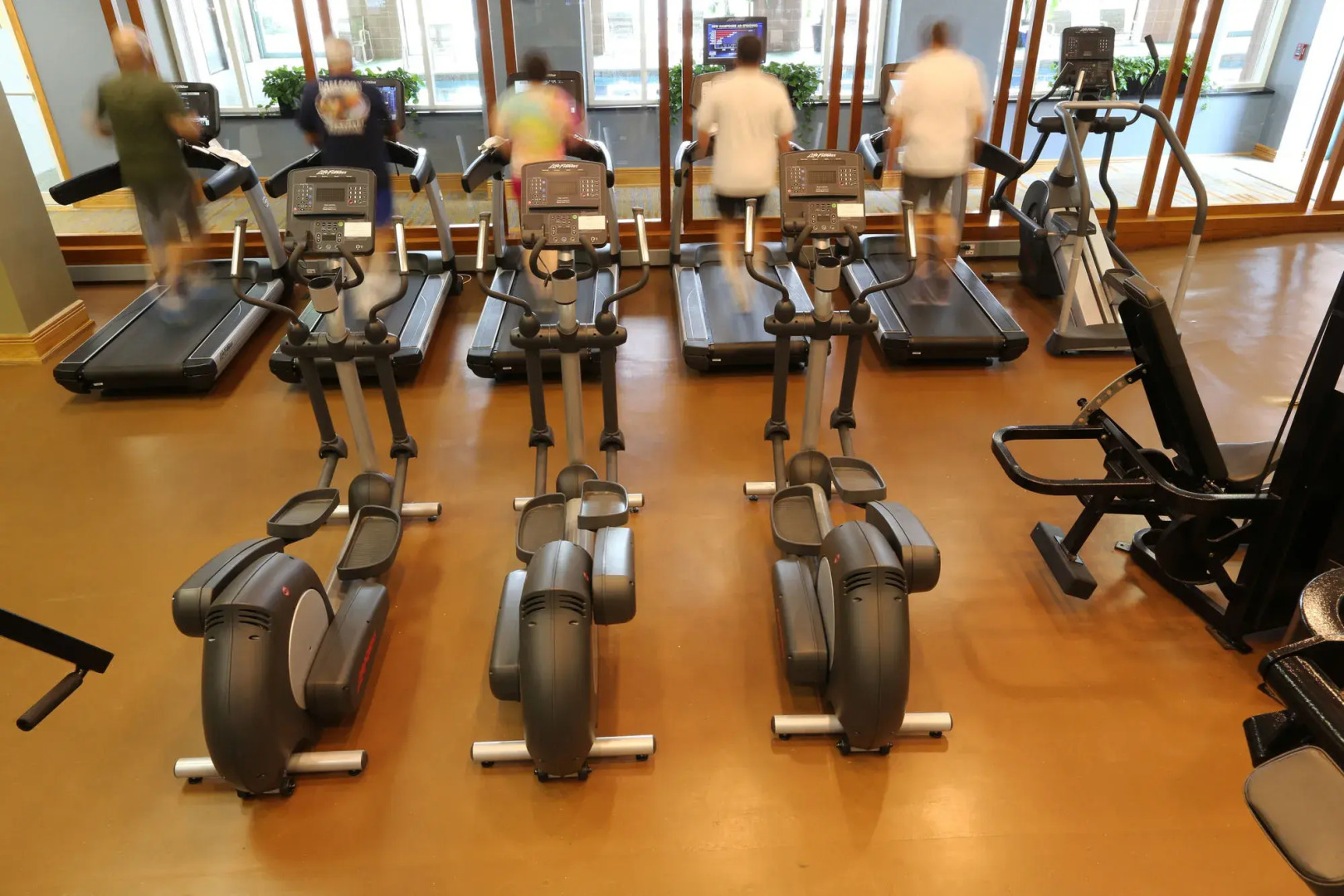 Lansdowne Resort and Spa