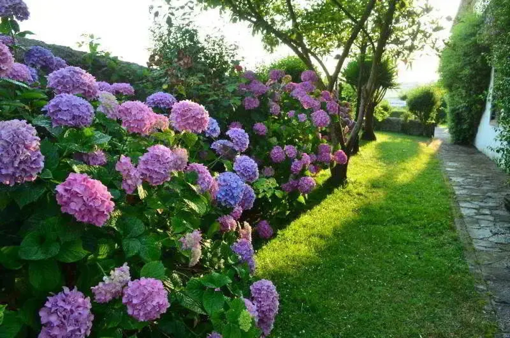 Hotel Anexo Los Infantes