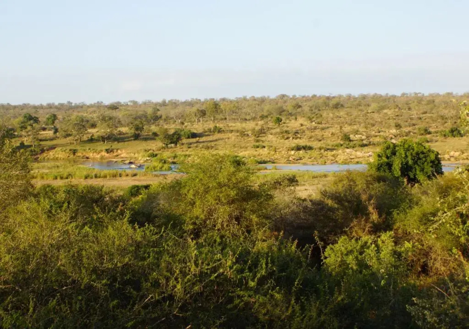 Marloth Park Hippo House