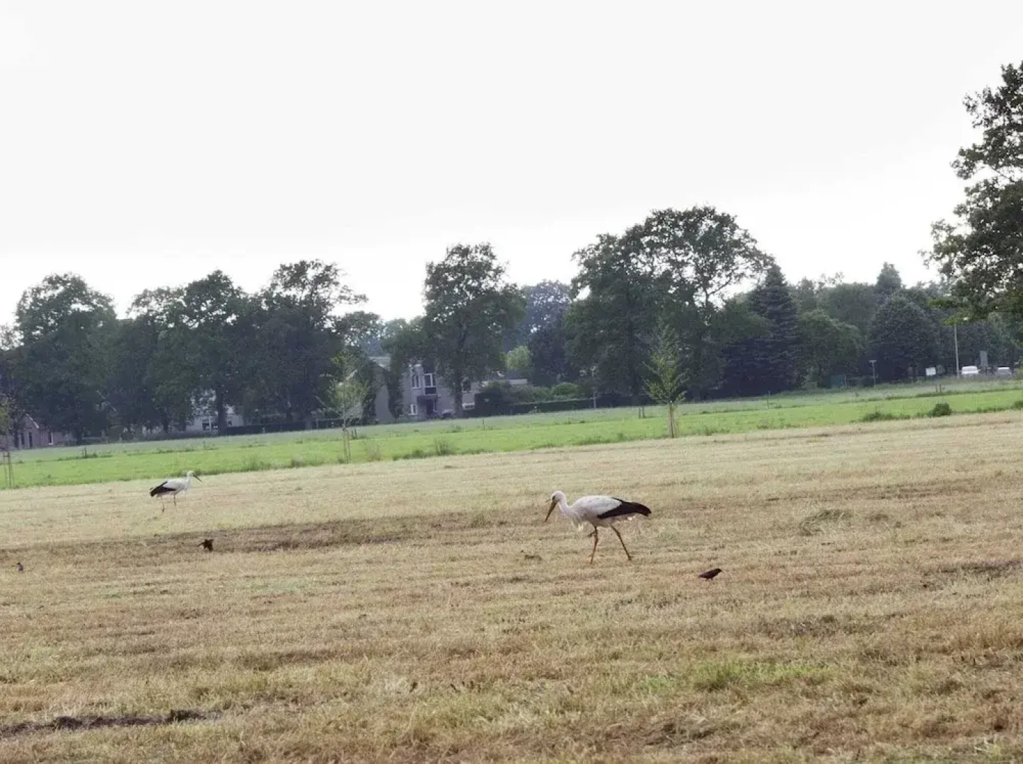 Cozy Chalet in a Natural Environment